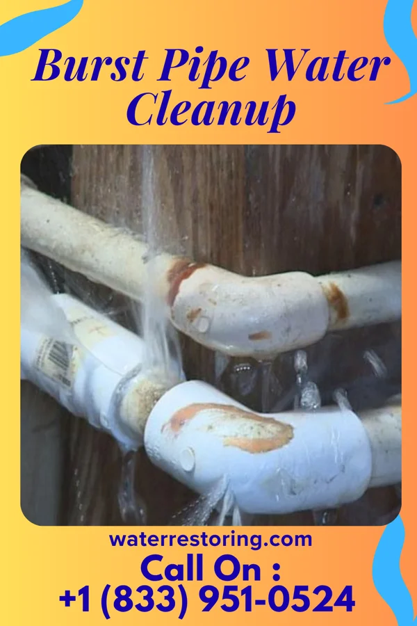Burst Pipe Water Cleanup in Flemingsburg, KY