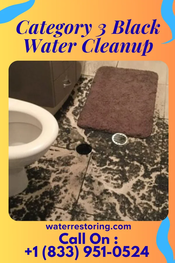 Category 3 Black Water Cleanup in Flemingsburg, KY