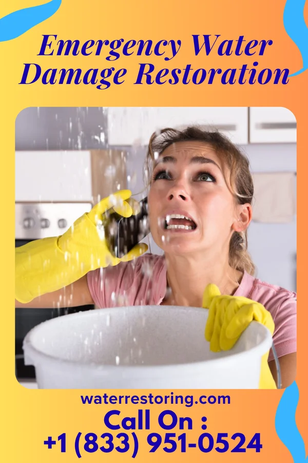 Emergency Water Damage Restoration in Flemingsburg, KY