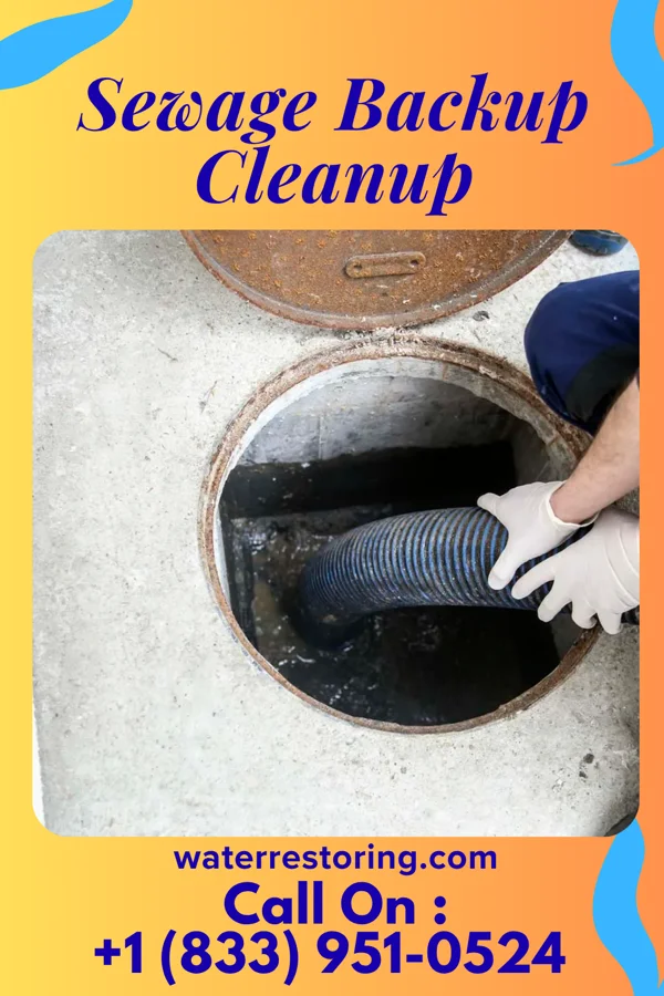 Sewage Backup Cleanup in Flemingsburg, KY