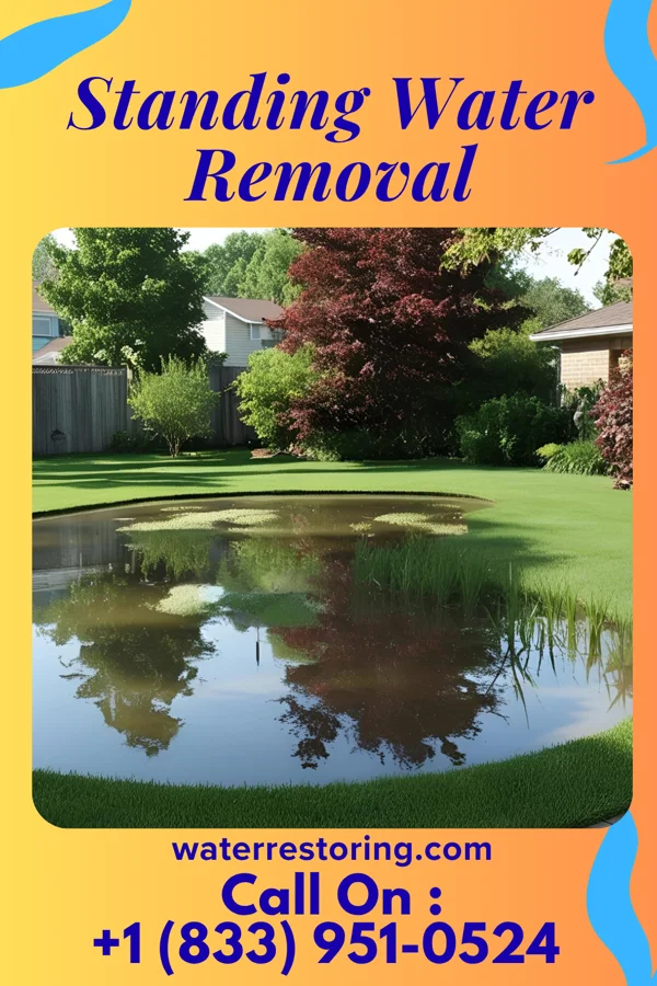 Standing Water Removal in Flemingsburg, KY